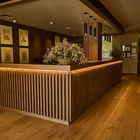 Отель Gran Balneario De