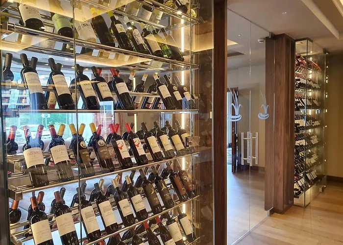 酒店 普恩特维斯戈水疗大酒店