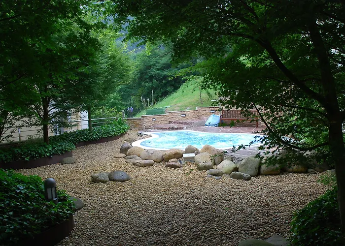 酒店 普恩特维斯戈水疗大酒店