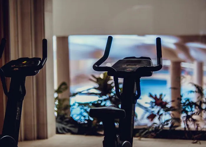 酒店 普恩特维斯戈水疗大酒店